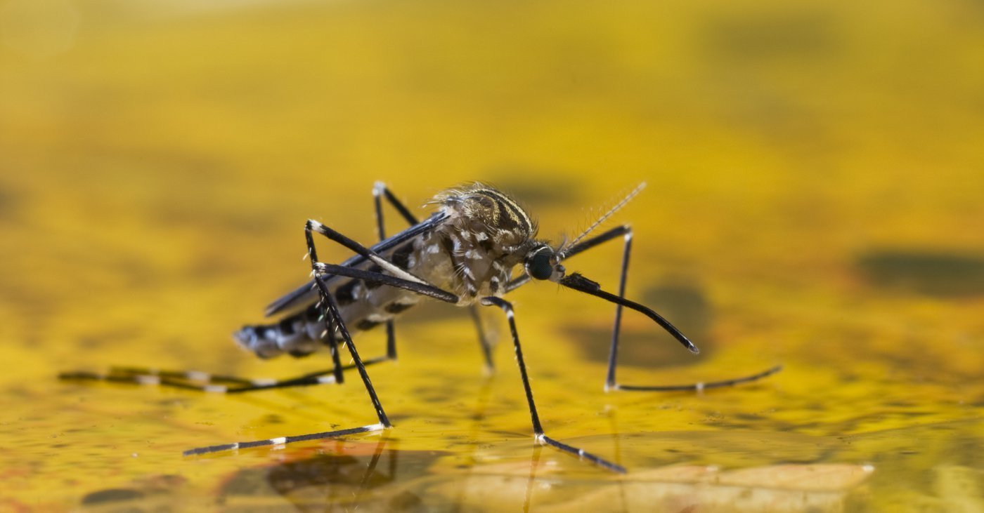 Como detectar vazamentos de água na sua casa