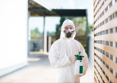 dedetizacao-profissional-em-ambientes-comerciais-por-que-e-diferente