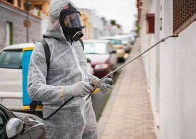 dedetizacao-preventina-quando-fazer-e-porque-ela-evita-infestacoes